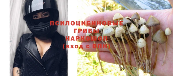 прущий лед Гусиноозёрск