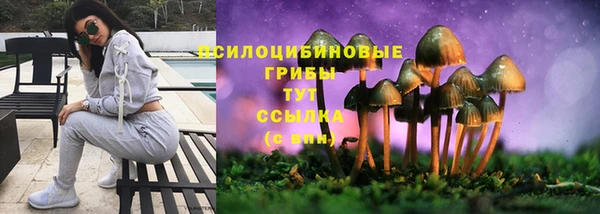героин Гусев