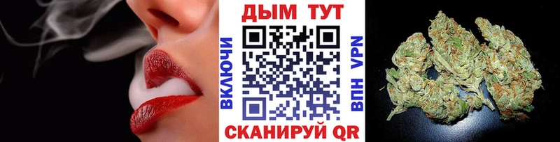 KRAKEN   Усть-Илимск  Бошки марихуана план 